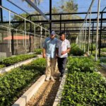 Se entregan viveros climaticos en los corregimientos de Arenal Norte