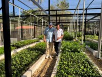 Se entregan viveros climaticos en los corregimientos de Arenal Norte