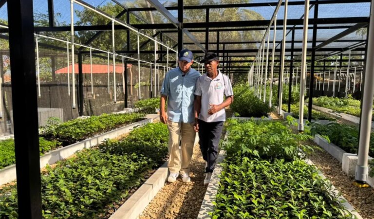 Se entregan viveros climáticos en los corregimientos de Arenal Norte y Santa Catalina