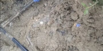 Aguas de Cartagena intensifica operativos para combatir el fraude en