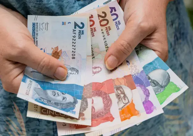 Consejo de Estado suspende temporalmente el decreto de salario mínimo para 2026