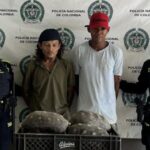 Detenidos por transportar 9 tortugas ‘patas rojas en El Carmen