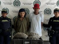 Detenidos por transportar 9 tortugas ‘patas rojas en El Carmen