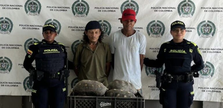 Detenidos por transportar 9 tortugas ‘patas rojas en El Carmen
