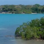 El Consejo de Estado examinara el cobro del seguro en