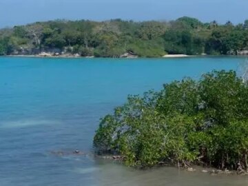 El Consejo de Estado examinara el cobro del seguro en