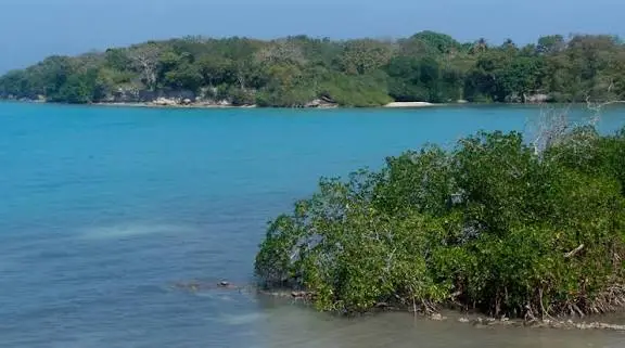 El Consejo de Estado examinara el cobro del seguro en