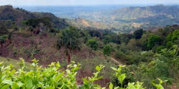 En la sesion del OCAD Paz se aprueban dos proyectos para.webp