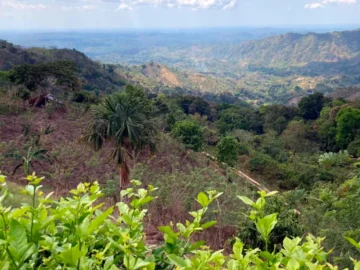 En la sesion del OCAD Paz se aprueban dos proyectos para.webp