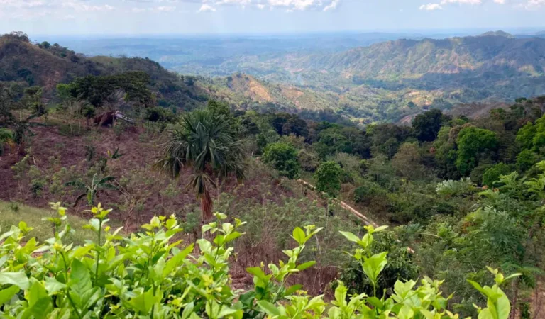 En la sesión del OCAD-Paz, se aprueban dos proyectos para Montes de María