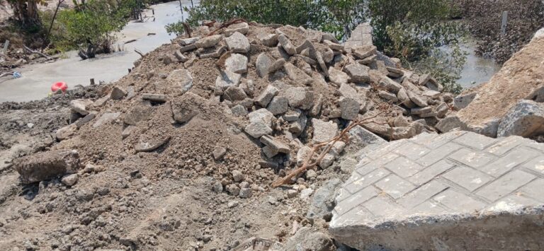 1772582128 A base de escombros estan despojando la Cienaga de la