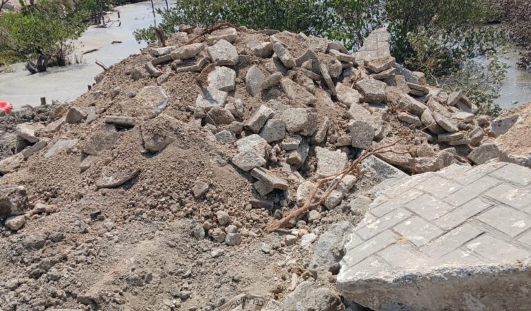 A base de escombros, están despojando la Ciénaga de la Virgen.