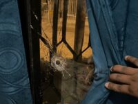 Caballos pasan noches de tension debido a la llegada de