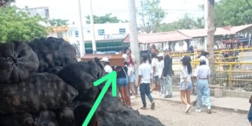 Con plomo al aire piedras musica y ron despidieron a