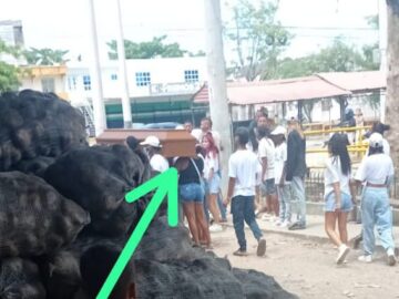 Con plomo al aire piedras musica y ron despidieron a