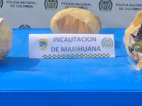 Confiscan mas de 3000 dosis de marihuana en un camion