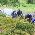 Ninos de Papel y Aguas de Cartagena realizan jornada ambiental