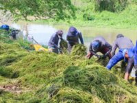 Ninos de Papel y Aguas de Cartagena realizan jornada ambiental
