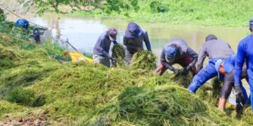 Ninos de Papel y Aguas de Cartagena realizan jornada ambiental