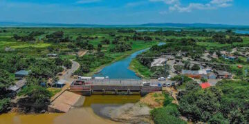 Retraso Injustificado en la Resolucion de la Demanda de Nulidad