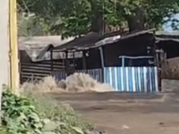 Rotura de tuberia del acueducto en Henequen deja al 35