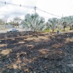 Alcaldia condena la quema indiscriminada en el separador vial de