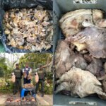 Incaudan autoridades en Cartagena carne de hicotea bagre y huevos