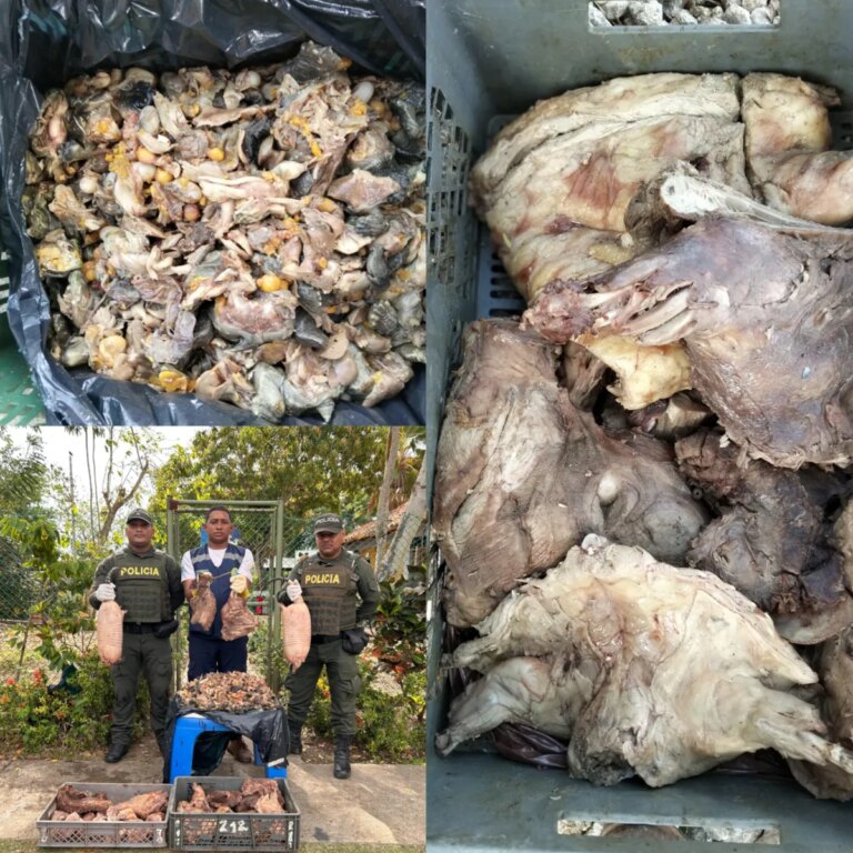 Incaudan autoridades en Cartagena carne de hicotea bagre y huevos