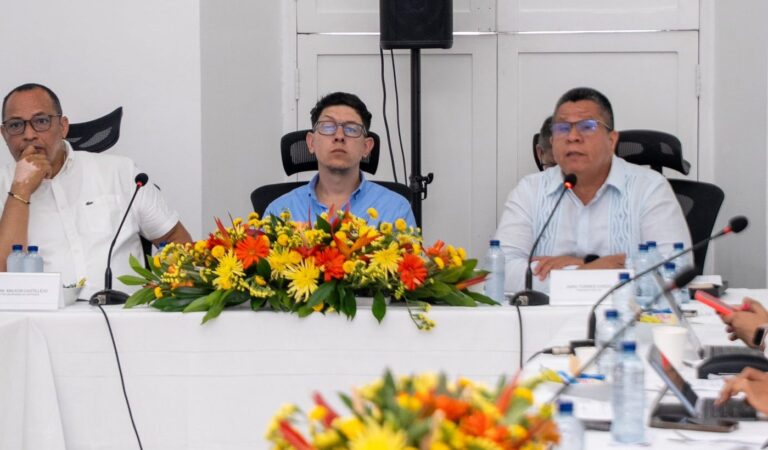 Rector de Unicartagena, representante del Sistema Universitario Estatal (SUE) en el OCAD de Ciencia, Tecnología e Innovación.