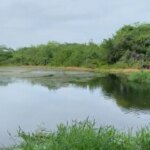 Aguas de Cartagena y la Universidad del Sinu realizan una