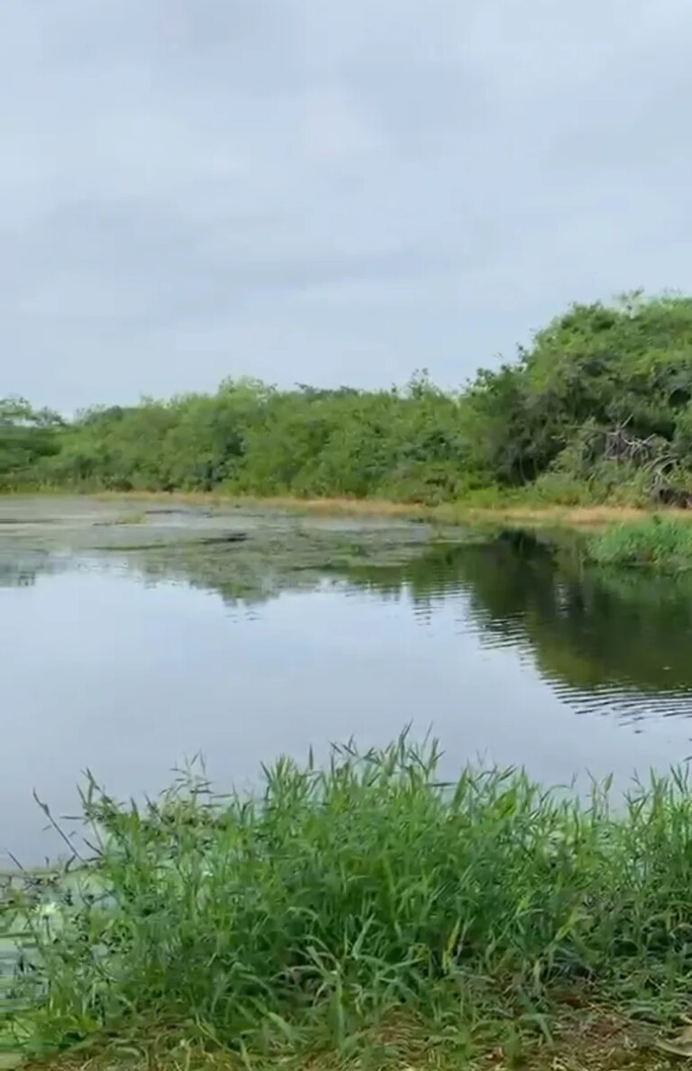 Aguas de Cartagena y la Universidad del Sinu realizan una