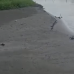 Cienega Juan Gomez Mas barro que agua en la comunidad