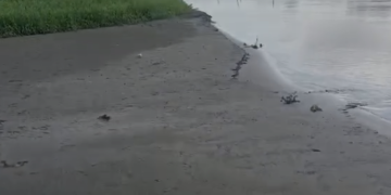 Cienega Juan Gomez Mas barro que agua en la comunidad