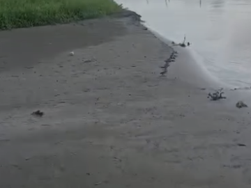 Cienega Juan Gomez Mas barro que agua en la comunidad
