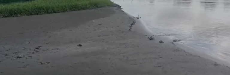 Cienega Juan Gomez Mas barro que agua en la comunidad