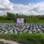 Ejercito confisca 27 toneladas de cianuro en el sur de