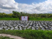 Ejercito confisca 27 toneladas de cianuro en el sur de