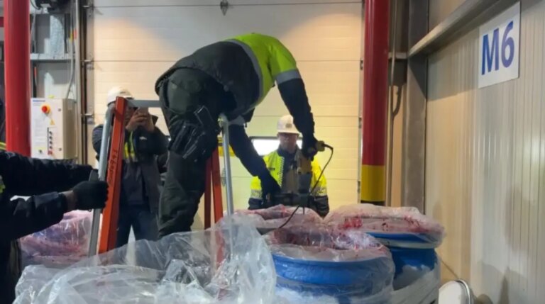 En Cartagena la Policia incauta media tonelada de cocaina