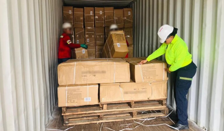 En Cartagena, se confisca un contenedor con zapatos falsificados