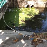 Habitantes de Rodeo en Turbaco alertan sobre emergencia sanitaria y