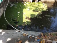 Habitantes de Rodeo en Turbaco alertan sobre emergencia sanitaria y