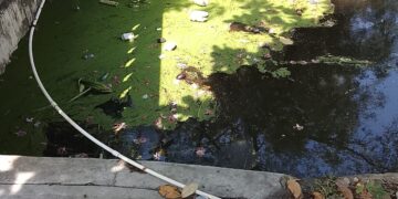 Habitantes de Rodeo en Turbaco alertan sobre emergencia sanitaria y