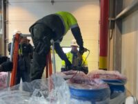 Incautan mas de 578 kilos de cocaina ocultos en pulpa