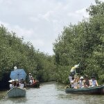 Unicartagena refuerza la preservacion de los mangles al establecer un