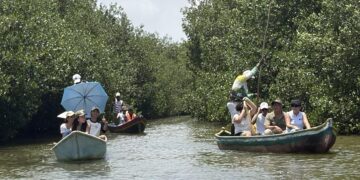 Unicartagena refuerza la proteccion de mangles al establecer un santuario