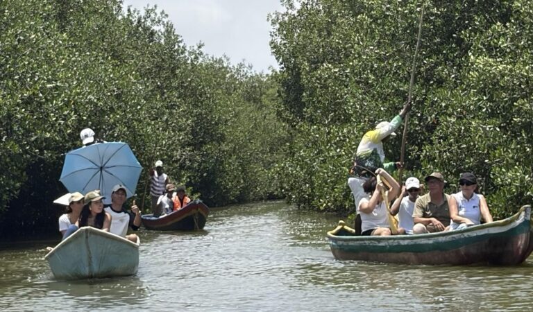 Unicartagena refuerza la protección de mangles al establecer un santuario en La Boquilla.