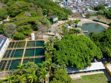 El Plan de Contingencia por Fenomeno del Nino es activado