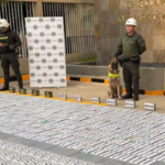 Hallan 885 kilos de cocaina escondidos en una pieza de