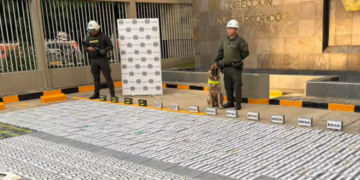 Hallan 885 kilos de cocaina escondidos en una pieza de