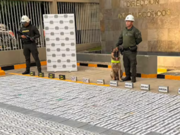 Hallan 885 kilos de cocaina escondidos en una pieza de